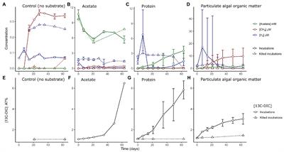 Organic Matter Type Defines the Composition of Active Microbial Communities Originating From Anoxic Baltic Sea Sediments